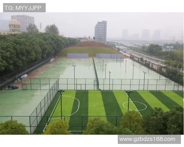 武汉排球队的奋斗历程与荣耀时刻全景纪实